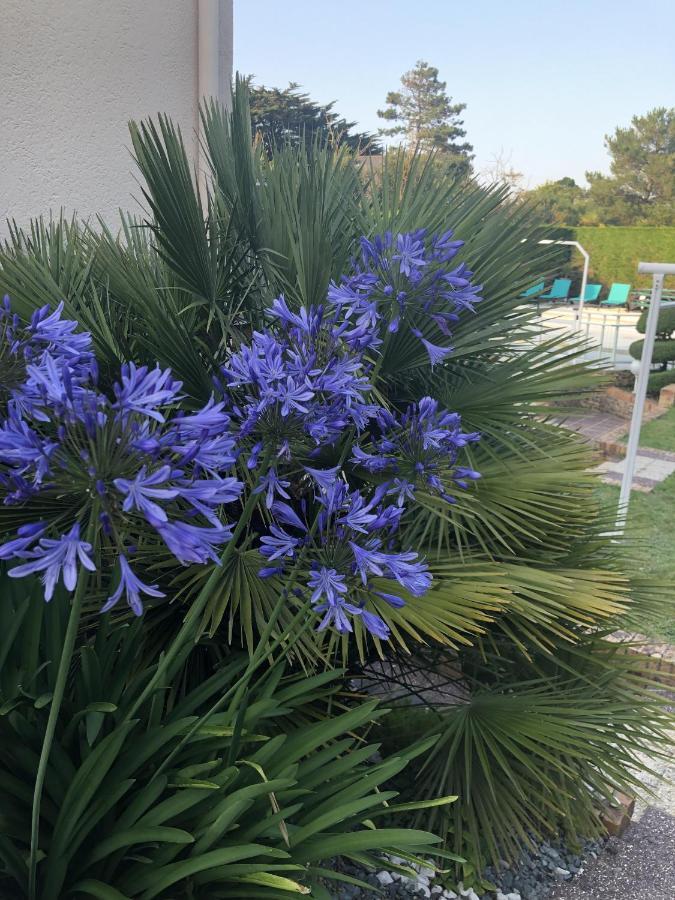 Villa Amare Granville Saint-Pair-sur-Mer Dış mekan fotoğraf